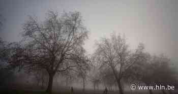 KMI waarschuwt voor gladde wegen: code geel in verschillende provincies - Het Laatste Nieuws