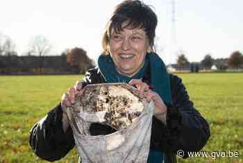 Onderzoekers testen Kempense bodem met ... onderbroeken (Geel) - Gazet van Antwerpen Mobile - Gazet van Antwerpen