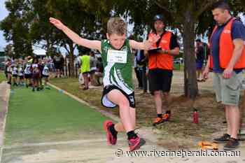 Echuca-Moama Little Athletics Centre leaps back into action - Riverine Herald