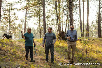 ʔaq̓am, with support Columbia Basin Trust, work on ecosystem renewal – Nelson Star - Nelson Star