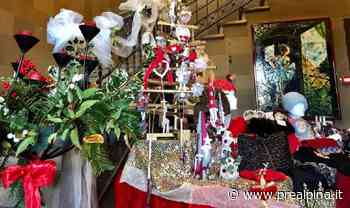 Samarate, mercatino Ortensie Blu - La Prealpina