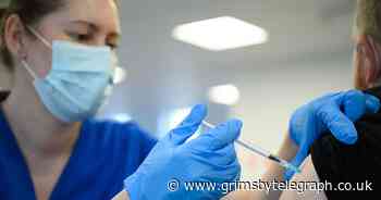 Talks about mandatory Covid-19 vaccination needed, says WHO director - Grimsby Live - Grimsby Live