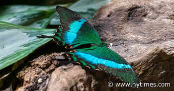 5 Things to Do This Thanksgiving Weekend