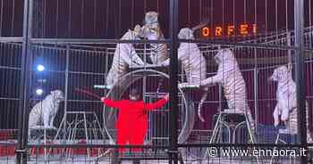 Enna, arriva in città la carovana del Circo Greca Orfei - Josè Trovato