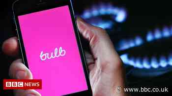 UK government sets aside £1.7bn to support Bulb customers