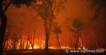 ‘Burning’ Review: Pulling the Fire Alarm in Australia