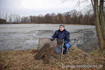 Riesa: Tote Fische am Schlossteich in Frauenhain - Sächsische.de