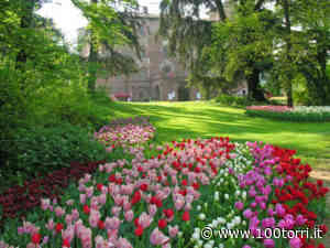 Da Pralormo a Chieri: in dono 3 mila bulbi di Messer Tulipano - CentoTorri