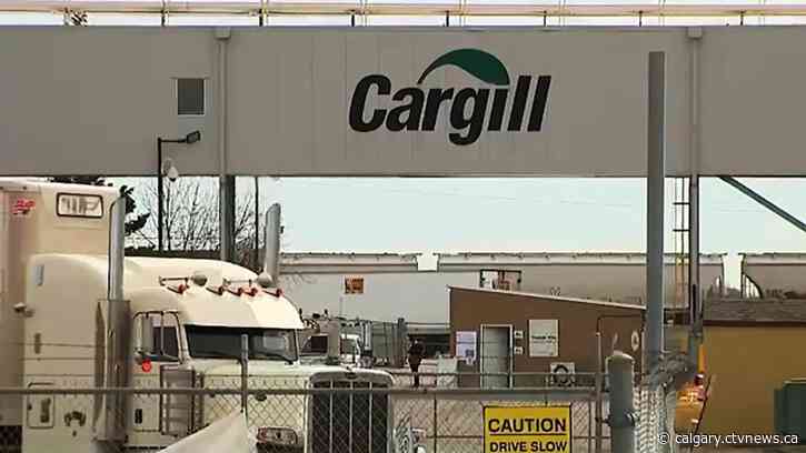 Southern Alberta Cargill workers reject company's latest offer, strike action possible Dec. 6