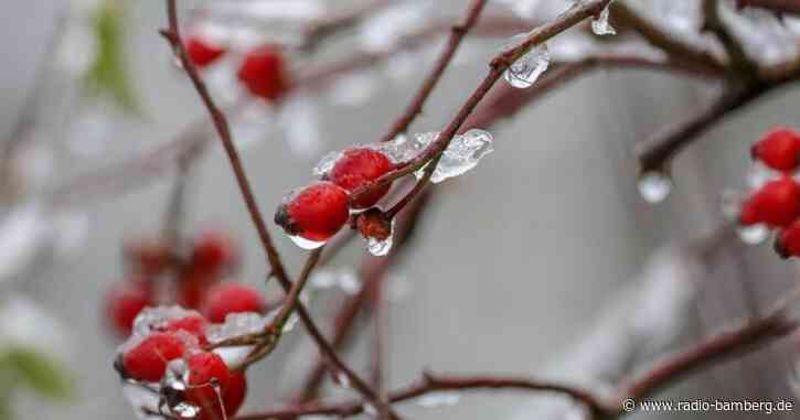 Schnee kommt zum Advent