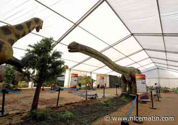 Elle remporte un grand succès en Europe, l'exposition Dinosaurs World débarque à Menton