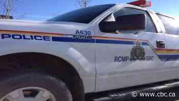 RCMP seize cache of weapons from rural property outside Saskatoon - CBC.ca