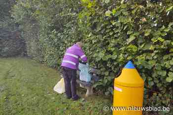 Minder sluikstorten bij containers, meer in de grachten