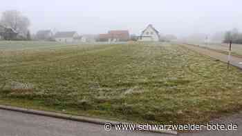 Baugebiet in SImmersfeld: Nach dem Winter könnt es los gehen