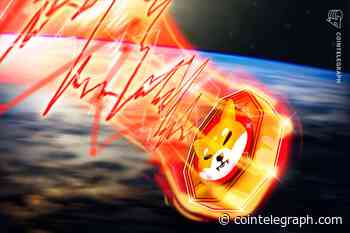 Shiba Inu slump continues: Data shows retail interest waning as SHIB down 60% in 4 weeks - Cointelegraph