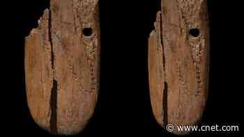 Pendant from 41,500 years ago may have uncovered a 'step in evolution'     - CNET