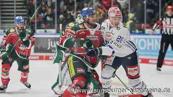 Schwierige Zeiten für die Panther