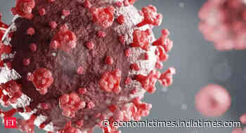 New coronavirus variant a ‘serious concern’ in South Africa - Economic Times