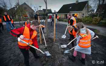 Hoptilsterdyk Hilaard na herinrichting moderner en veiliger. Kinderen planten eerste bomen - Leeuwarder Courant