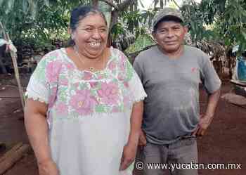 Pareja acusa que autoridades se olvidaron de ellos en Oxkutzcab - El Diario de Yucatán