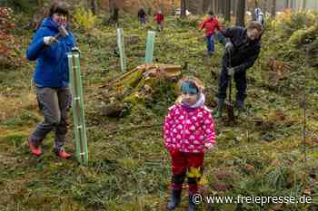 Schatzsucher verbinden Spaß mit Engagement für die Natur - Freie Presse