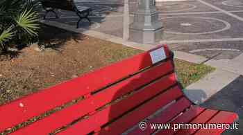 Termoli, Fidapa e alunni alla panchina rossa nella Giornata contro la violenza - Primonumero