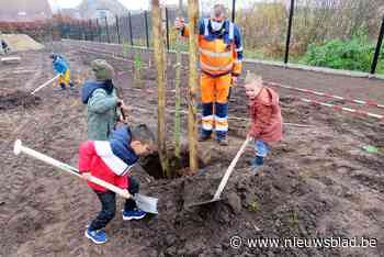 Kleuters Schransdries planten mee bomen