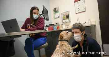 COVID pandemic takes a toll on Minnesota veterinary clinics
