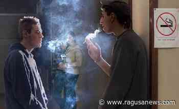 Droga, studente e insegnante sopresi con l'erba a scuola - RagusaNews