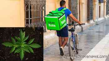 Cannabis con Uber, sbarca sul delivery il primo negozio di erba: la novità - BreveNews.Com - brevenews.