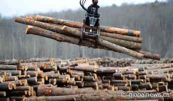 Freeland says Canada may retaliate against U.S. softwood lumber duty rate