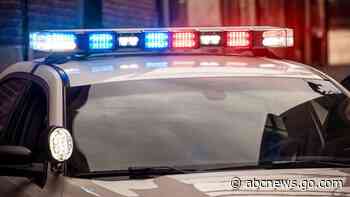 Mom fatally shot at memorial for son killed days earlier