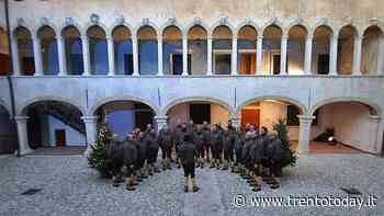 Ala: tra i palazzi barocchi i Mercatini di Natale - Trento Today