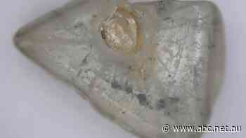 Rare “double diamond” discovery comes as race to restart mothballed Ellendale mine heats up