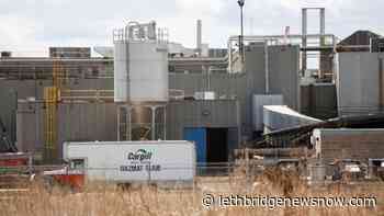 Cargill workers in High River to strike on December 6 - Lethbridge News Now