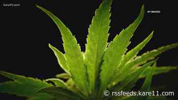 South Dakota Supreme Court strikes down recreational cannabis measure approved by voters