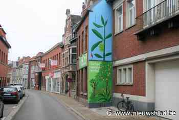Wereldwinkel pakt uit met gigantische muurschildering (Lokeren) - Het Nieuwsblad