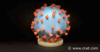 New COVID variant found in South Africa, UK enforces new travel bans     - CNET