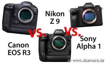 Canon EOS R3, Nikon Z 9 und Sony Alpha 1 im Vergleich - dkamera.de - Digitalkamera Nachrichten