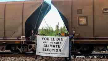 Coal activist released from prison with strict bail and curfew