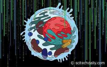 AI Reveals Previously Unknown Biology – We Might Not Know Half of What’s in Our Cells