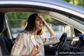 Extreme Heat May Affect Adults Aged 18–64 More Than the Elderly