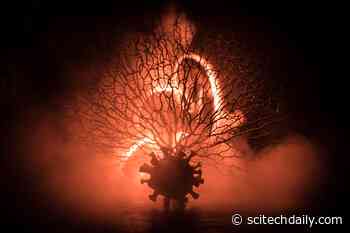 New Statistical Analysis Shows COVID-19 Became Much More Lethal in Late 2020