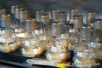 Modern-Day Alchemy: Transforming Sugar Into Hydrocarbons To Power Future Cars