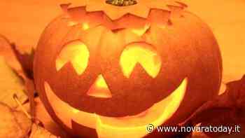 Baveno: Halloween party al parco - Novara Today