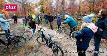 Raunheim: Vom Wirtschafts- zum Naturwald - Echo Online