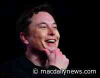 Cathie Wood says Apple should’ve bought Tesla, but ‘we’re happy they didn’t’