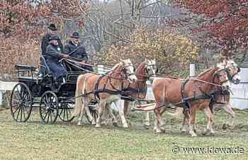 Kutschenführerschein - Mit den Pferden sicher unterwegs - idowa