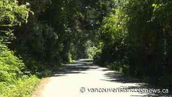 Man arrested after sexual assault on Saanich trail - CTV News VI