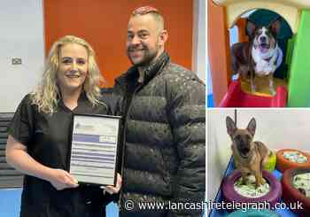Accrington: Doggy day care to finally open after nearly two years